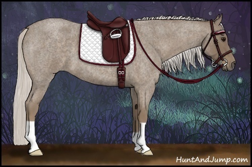 Horse Color:Silver Smoky Blue Roan 