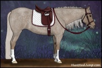Horse Color:Silver Smoky Blue Roan 