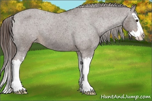 Horse Color:Liver Chestnut Sabino Splash Varnish 