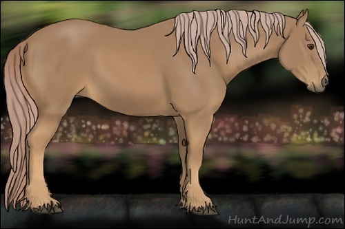 Horse Color:Palomino 
