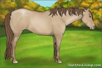 Horse Color:Grullo Pearl Frame