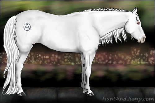 Horse Color:Buckskin Chinchilla Varnish Rabicano 