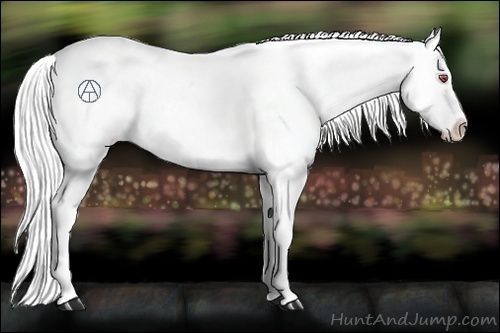 Horse Color:Silver Black Chinchilla Appaloosa