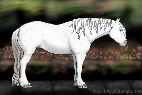 Horse Color:White Spotted Black Frame Appaloosa Rabicano 