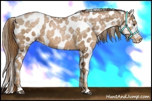 Horse Color:White Spotted Liver Chestnut Ice Pearl Varnish