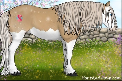 Horse Color:Palomino Splash 