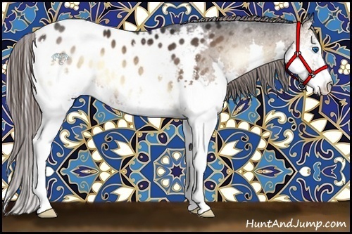 Horse Color:White Spotted Brown Onyx Splash Appaloosa