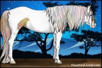 Horse Color:Nacre Gold Champagne Splash Tobiano 