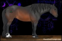 Horse Color:Brown Sabino 