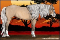 Horse Color:Silver Buckskin Roan Splash 