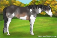 Horse Color:Brown Splash