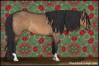 Horse Color:Bay Dun