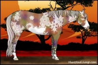 Horse Color:Nacre Silver Bay Ice Frame