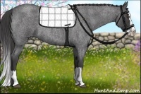 Horse Color:Smoky Blue Roan Splash 