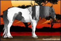 Horse Color:Black Tobiano