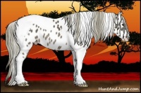 Horse Color:Liver Chestnut Mushroom Tobiano Near Leopard 