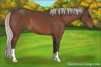 Horse Color:Silver Bay