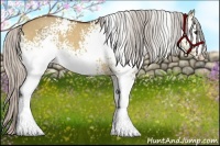 Horse Color:White Spotted Silver Bay Dun