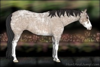 Horse Color:Bay Ice Roan Dun Sabino