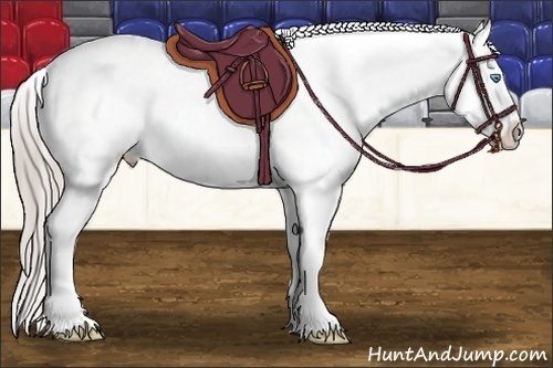 Horse Color:Chocolate Palomino Pearl Sabino Snowcap 