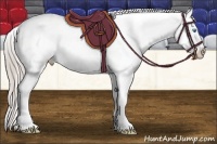 Horse Color:Chocolate Palomino Pearl Sabino Appaloosa