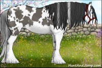 Horse Color:White Spotted Grullo Splash 