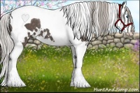 Horse Color:White Spotted Silver Black Splash Tobiano 