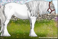 Horse Color:Silver Grullo Pearl Splash Tobiano Frame