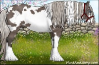 Horse Color:White Spotted Silver Black Frame 