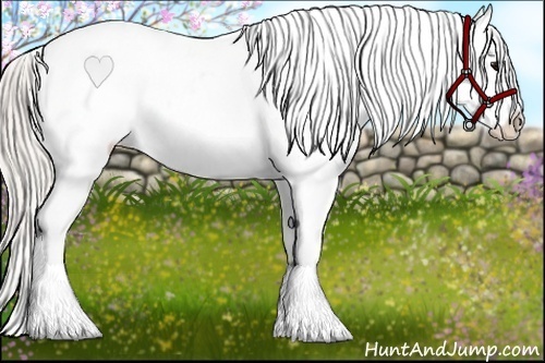 Horse Color:White Spotted Silver Blue Roan Splash Varnish 