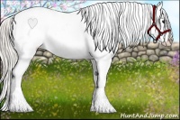 Horse Color:White Spotted Silver Blue Roan Splash Appaloosa 