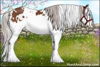 Horse Color:White Spotted Silver Bay Sabino Splash