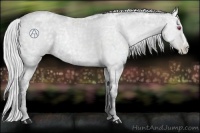 Horse Color:Silver Black Chinchilla Ice Pearl Rabicano 
