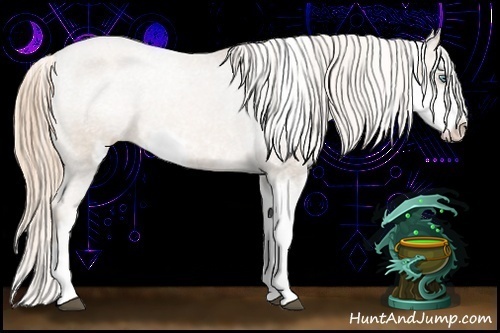 Horse Color:Liver Chestnut Pearl Sabino Appaloosa 