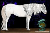 Horse Color:Liver Chestnut Pearl Sabino Appaloosa 