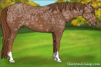 Horse Color:Chestnut Ice 