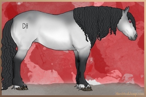 Horse Color:Bay Chinchilla 