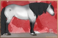 Horse Color:Bay Chinchilla 