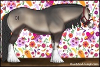 Horse Color:Blue Onyx 