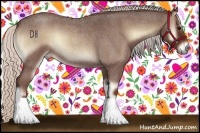 Horse Color:Silver Blue Onyx Roan 
