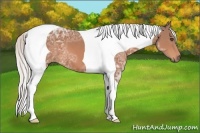 Horse Color:Silver Bay Ice Tobiano Frame