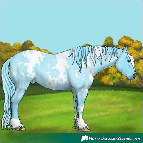 Horse Color:Watercolor White Spotted Blue Roan 