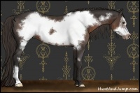 Horse Color:Liver Chestnut Frame 