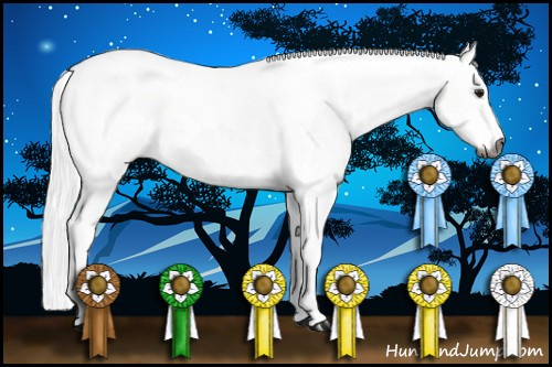 Horse Color:Gray Buckskin Sabino Tobiano 