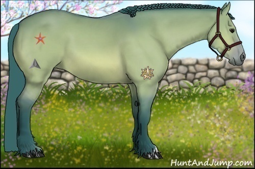 Horse Color:Watercolor Bay Dun 