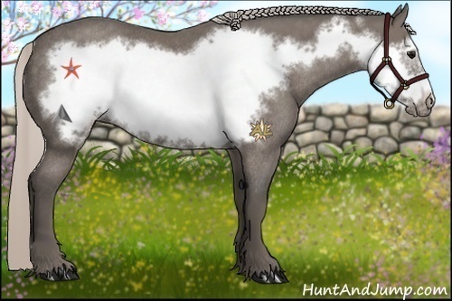 Horse Color:Silver Black Frame Rabicano 