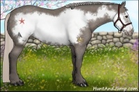 Horse Color:Silver Black Frame Rabicano