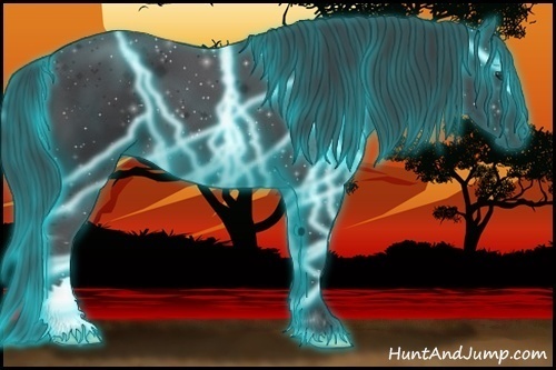 Horse Color:Thunderstruck Black 