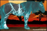 Horse Color:Thunderstruck Black