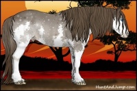 Horse Color:Liver Chestnut Splash 